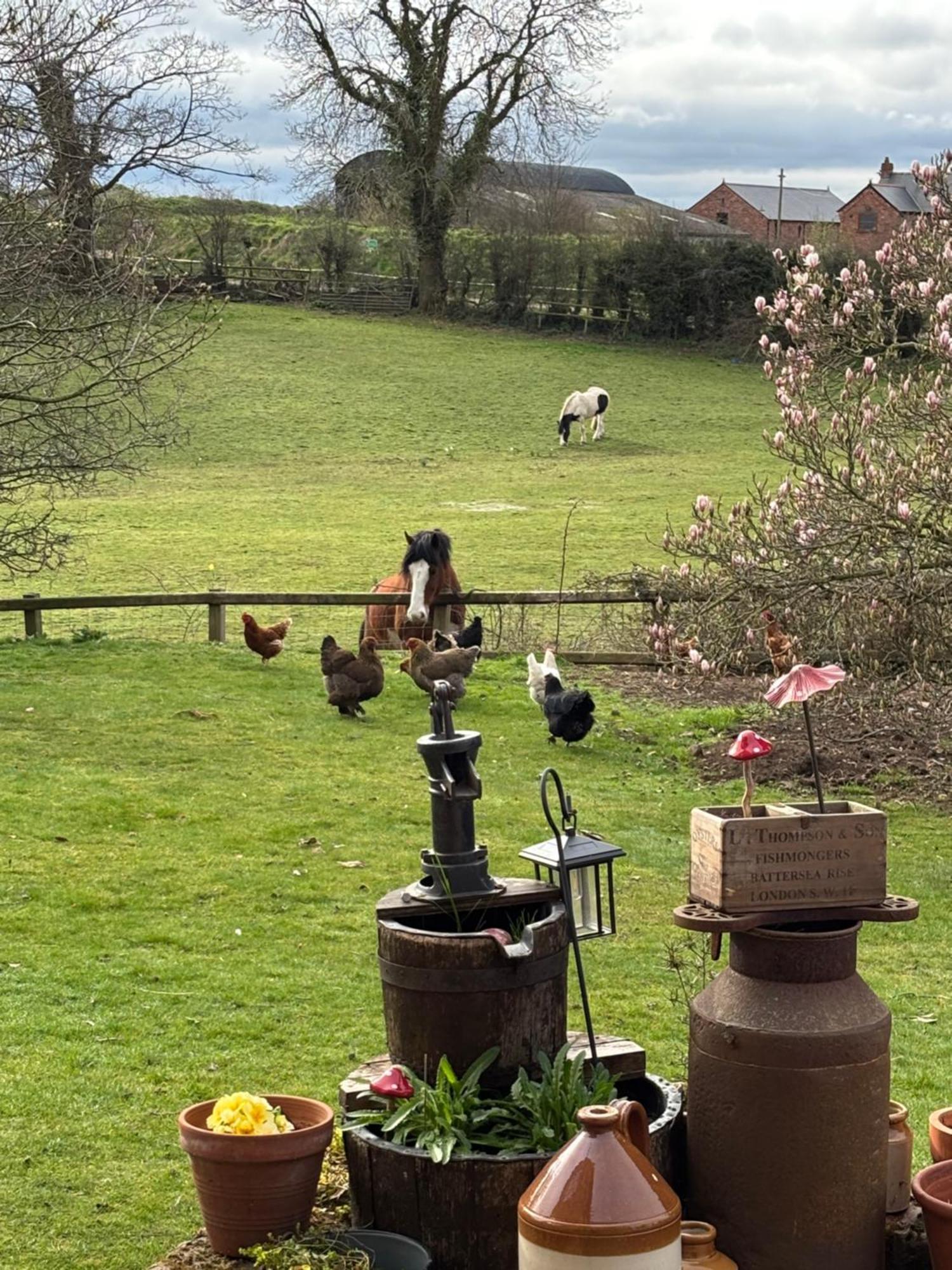 Bumbleberry Cottage Gresford Buitenkant foto